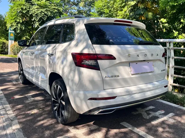 Skoda Karoq — Фото автомобиля 12