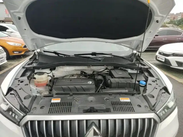 Borgward BX5 — Фото автомобиля 19