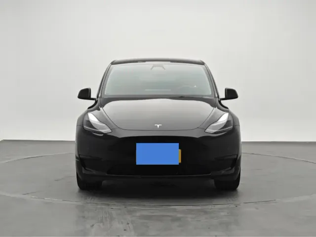 Tesla Model Y — Фото автомобиля 2