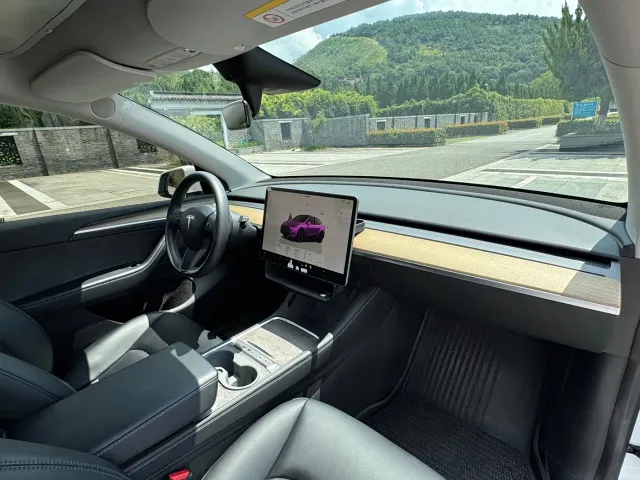 Tesla Model Y — Фото автомобиля 10
