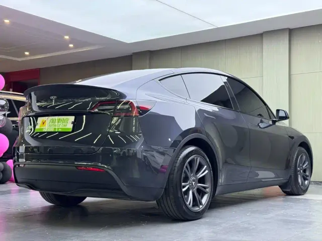 Tesla Model Y — Фото автомобиля 4