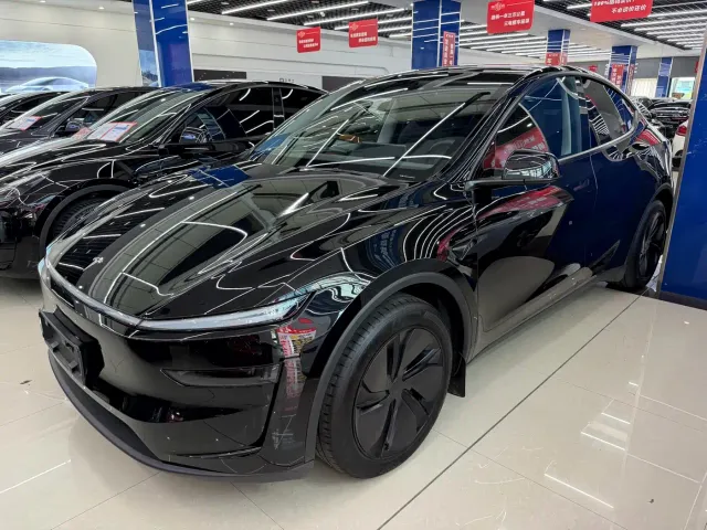 Tesla Model Y — Фото автомобиля 2