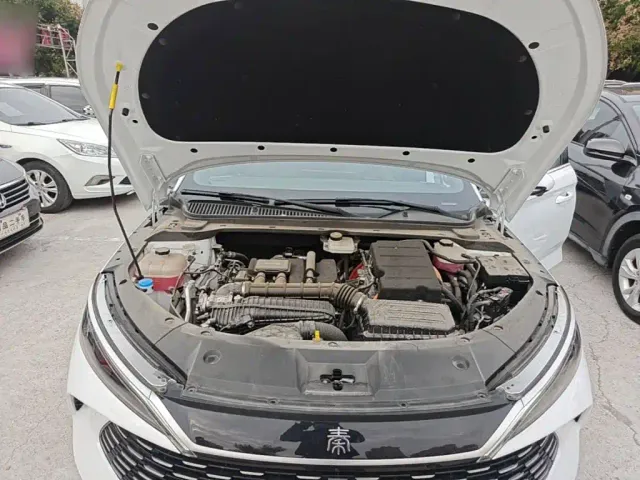 BYD Qin L — Фото автомобиля 19