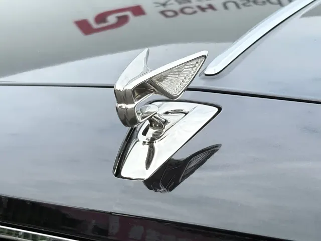 Bentley Flying Spur — Фото автомобиля 24