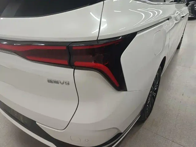 Forthing Xinghai V9 — Фото автомобиля 7