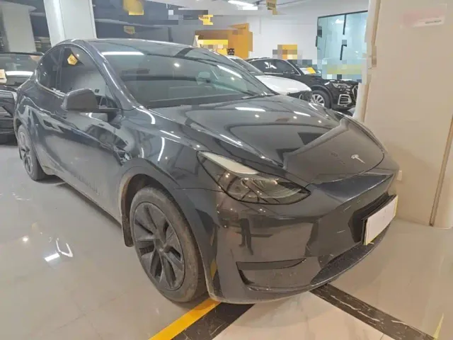 Tesla Model Y — Фото автомобиля 3