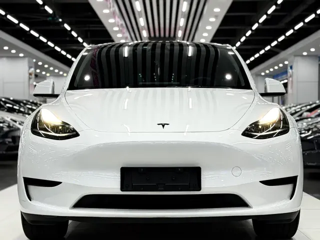 Tesla Model Y — Фото автомобиля 2