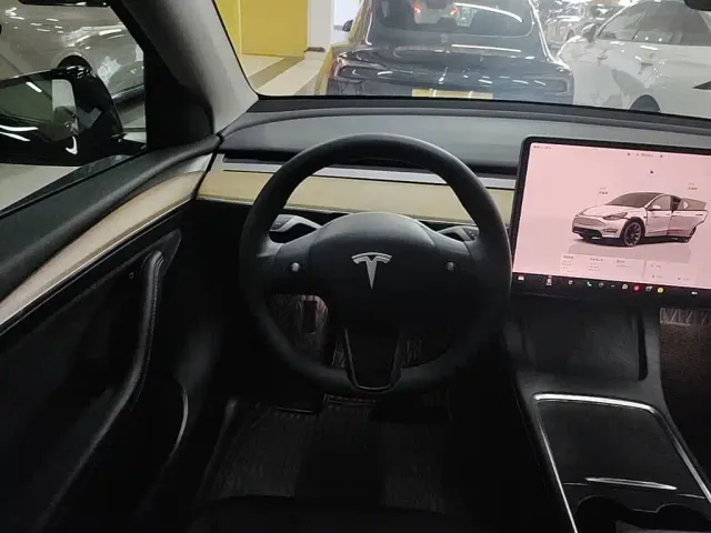 Tesla Model Y — Фото автомобиля 10