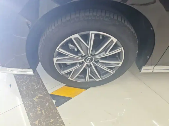 GAC Trumpchi M8 — Фото автомобиля 22
