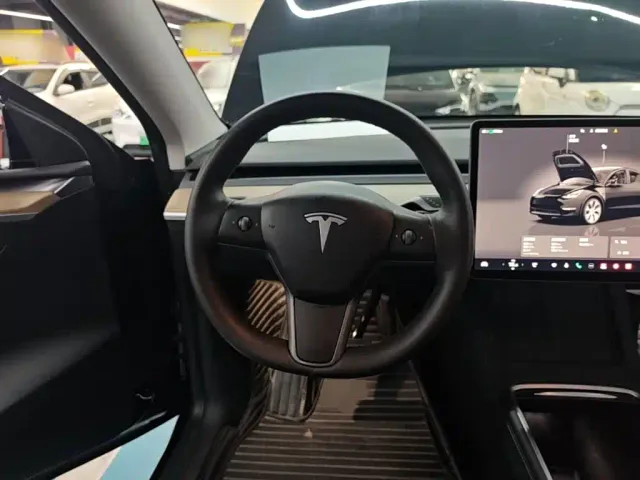 Tesla Model Y — Фото автомобиля 10