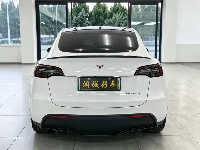 Tesla Model Y — Фото автомобиля 5