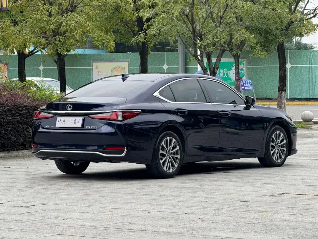 Lexus Lexus ES 2023 200 Excellence Edition — Фото автомобиля 17