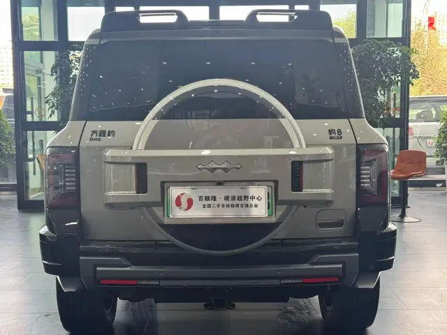BYD FangChengBao Leopard 8 — Фото автомобиля 16