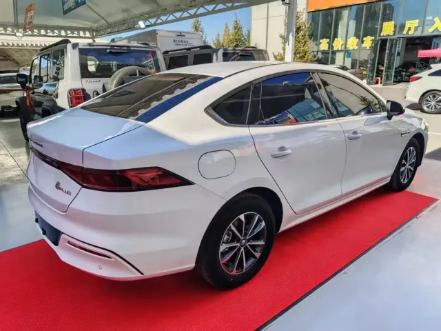 BYD Qin PLUS — Фото автомобиля 8