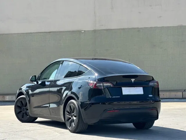 Tesla Model Y — Фото автомобиля 12