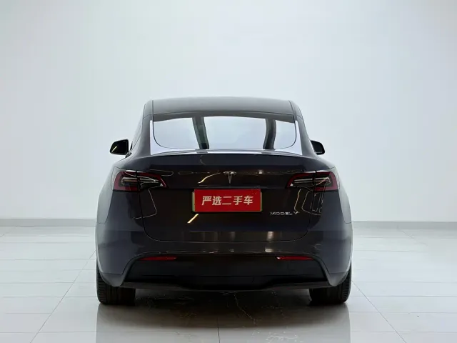 Tesla Model Y — Фото автомобиля 8