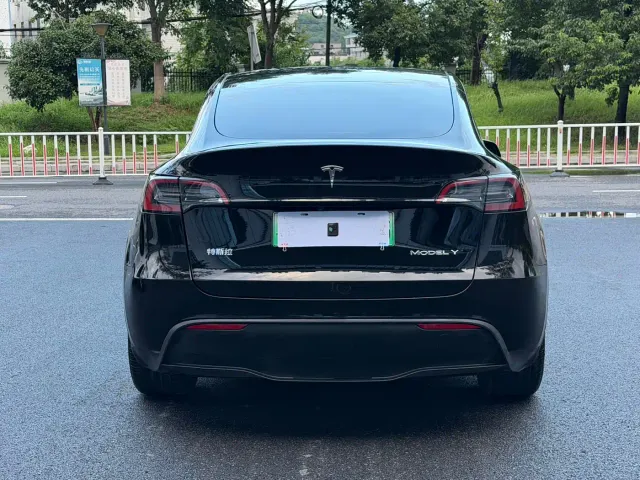 Tesla Model Y — Фото автомобиля 6