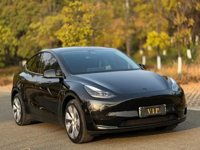 Tesla Model Y — Фото автомобиля 3