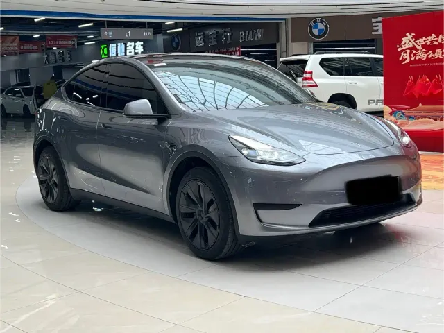 Tesla Model Y — Фото автомобиля 3
