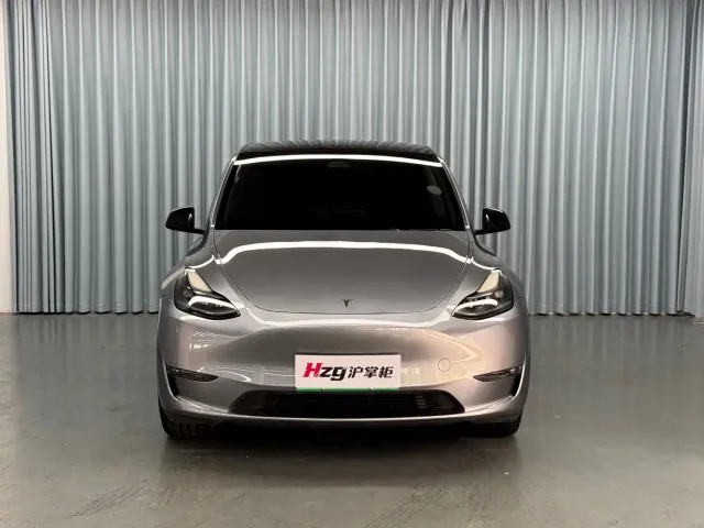 Tesla Model Y — Фото автомобиля 2