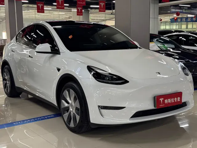 Tesla Model Y — Фото автомобиля 3