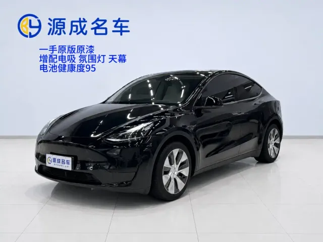 Tesla Model Y — Фото автомобиля 15