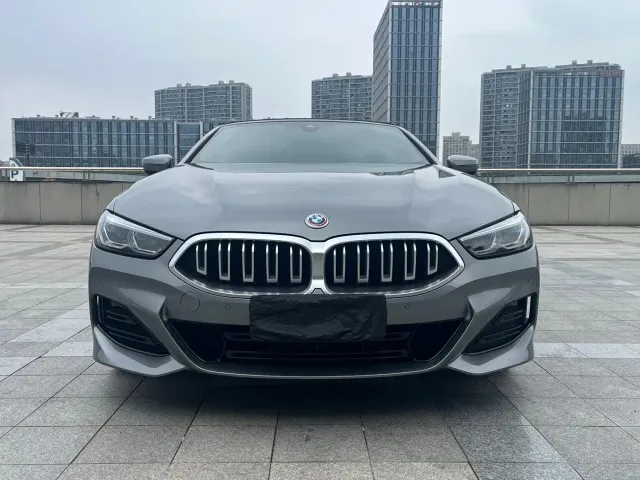 BMW 8 Series — Фото автомобиля 3
