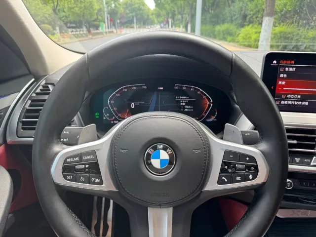 BMW X4 — Фото автомобиля 9