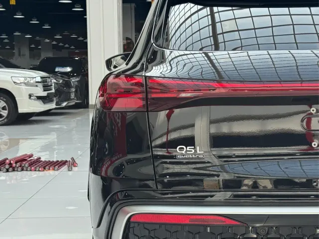 Audi Q5L — Фото автомобиля 20