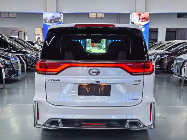 GAC Trumpchi M8 — Фото автомобиля 18