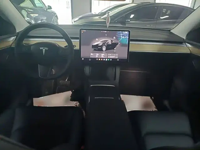 Tesla Model Y — Фото автомобиля 9