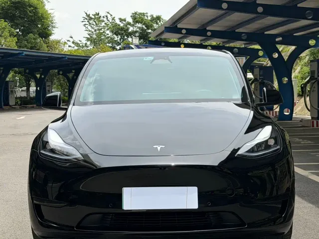 Tesla Model Y — Фото автомобиля 2
