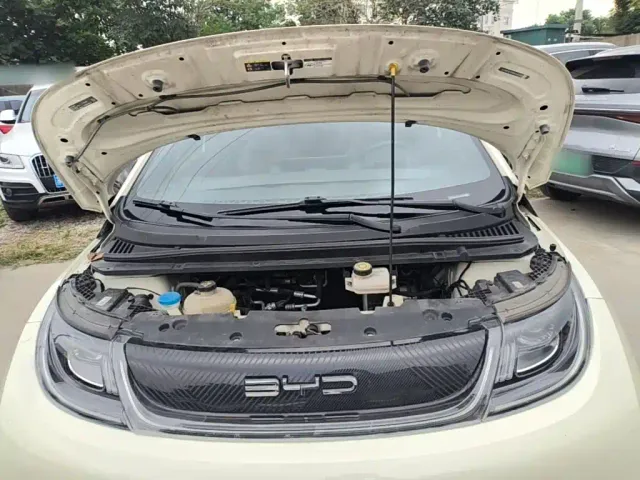 BYD Dolphin — Фото автомобиля 19