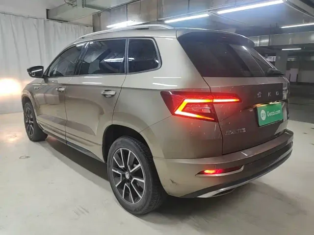 Skoda Karoq — Фото автомобиля 4