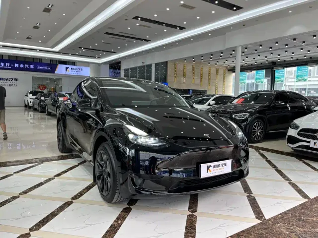 Tesla Model Y — Фото автомобиля 4