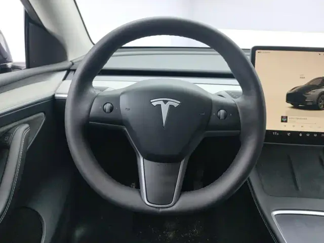 Tesla Model Y — Фото автомобиля 15