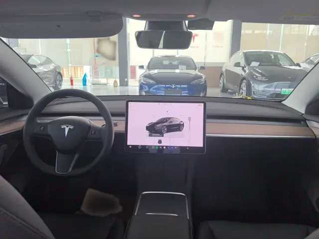 Tesla Model 3 — Фото автомобиля 9
