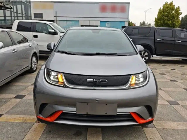 BYD Dolphin — Фото автомобиля 2