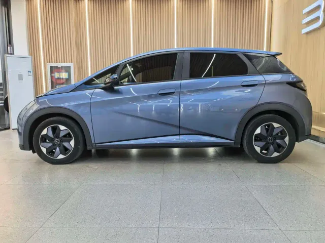 BYD Dolphin — Фото автомобиля 2