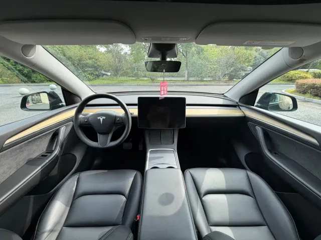 Tesla Model Y — Фото автомобиля 12