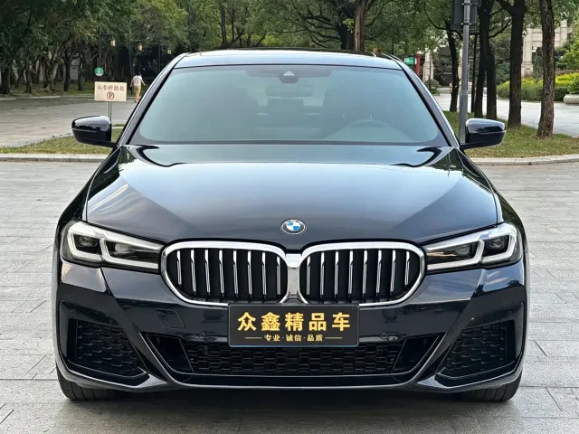 BMW 5 Series — Фото автомобиля 2