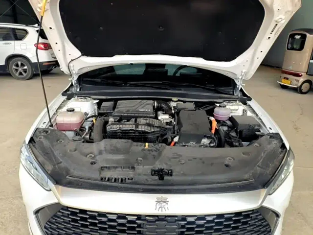 BYD Qin PLUS — Фото автомобиля 19