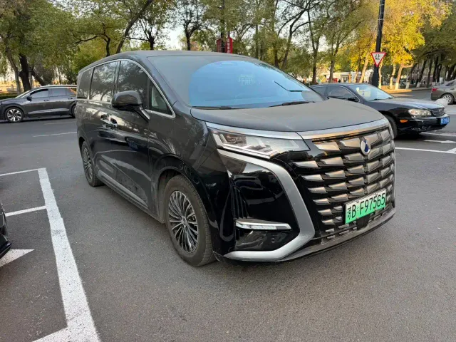 Denza D9 — Фото автомобиля 3