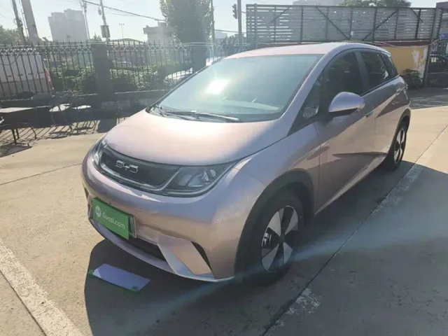 Фотография автомобиля — BYD Dolphin