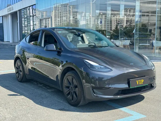Tesla Model Y — Фото автомобиля 3