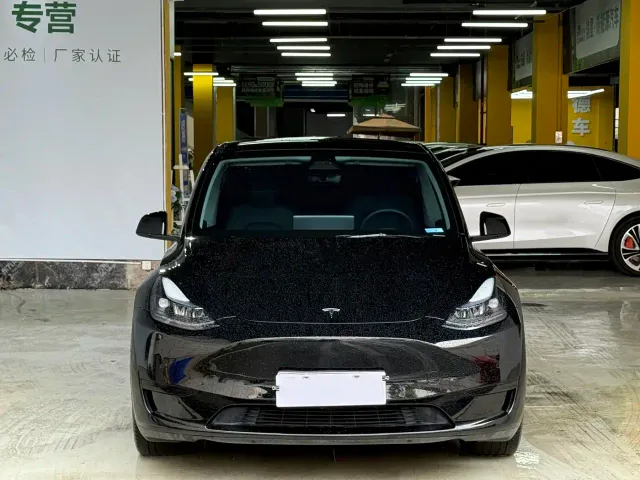 Tesla Model Y — Фото автомобиля 2