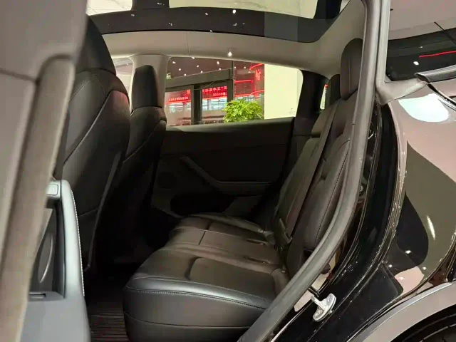 Tesla Model Y — Фото автомобиля 10
