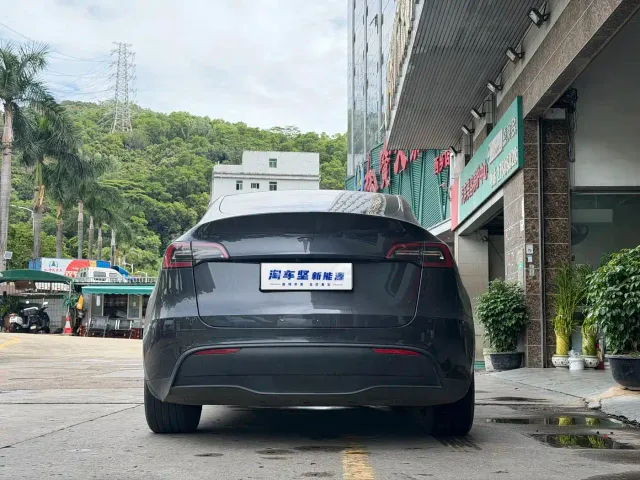 Tesla Model Y — Фото автомобиля 5