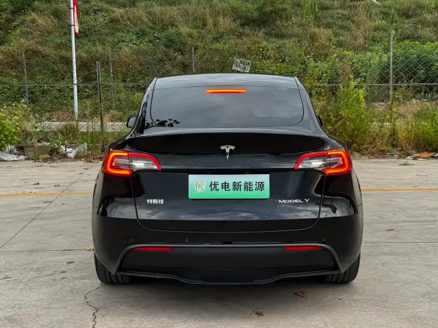 Tesla Model Y — Фото автомобиля 16
