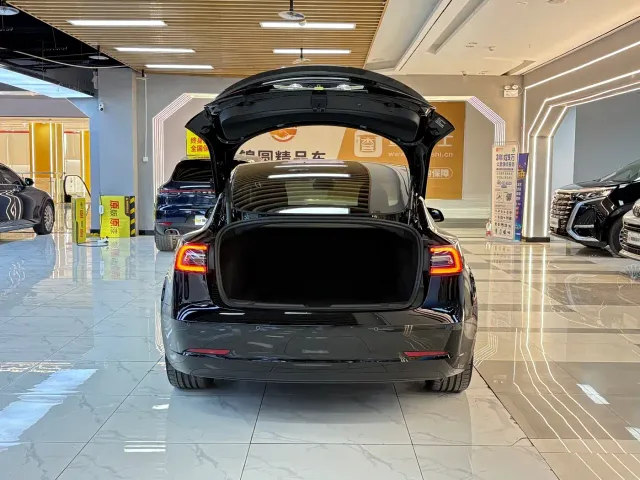 Tesla Model 3 — Фото автомобиля 18